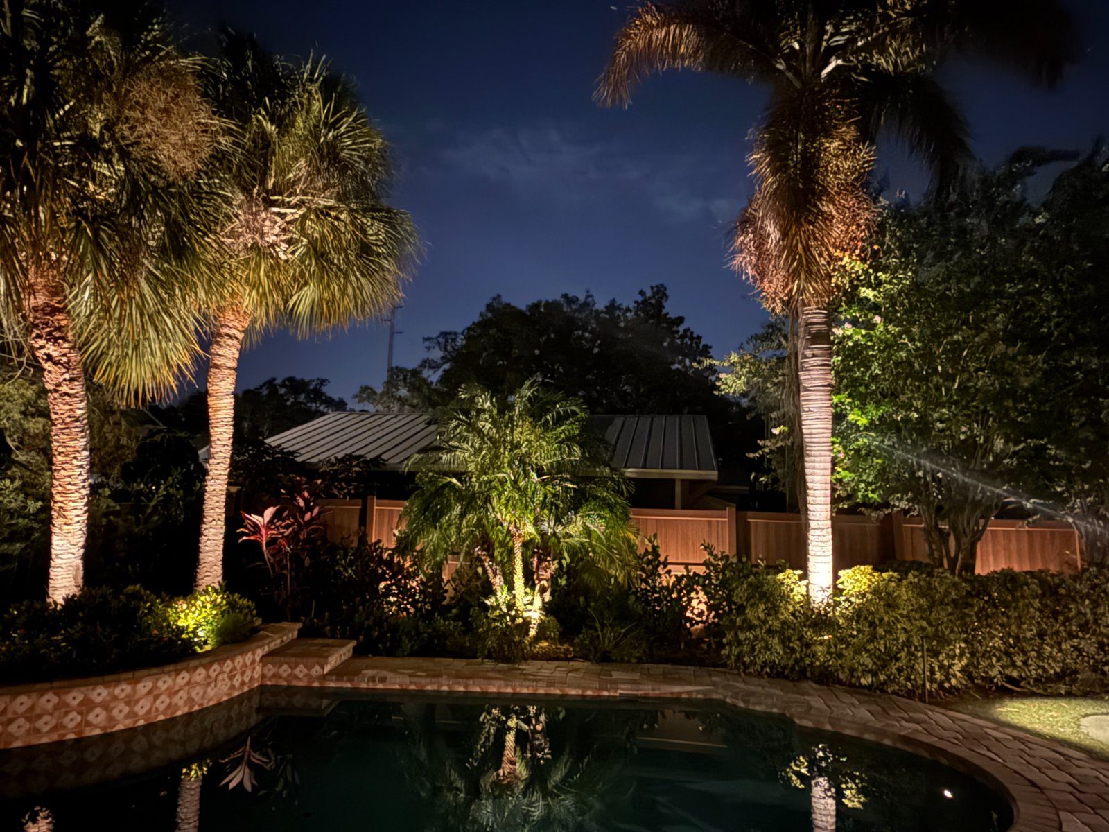 Backyard pool at night with uplit sabal and queen palms and lit garden beds, a real LogiBuilt install in Tampa Bay
