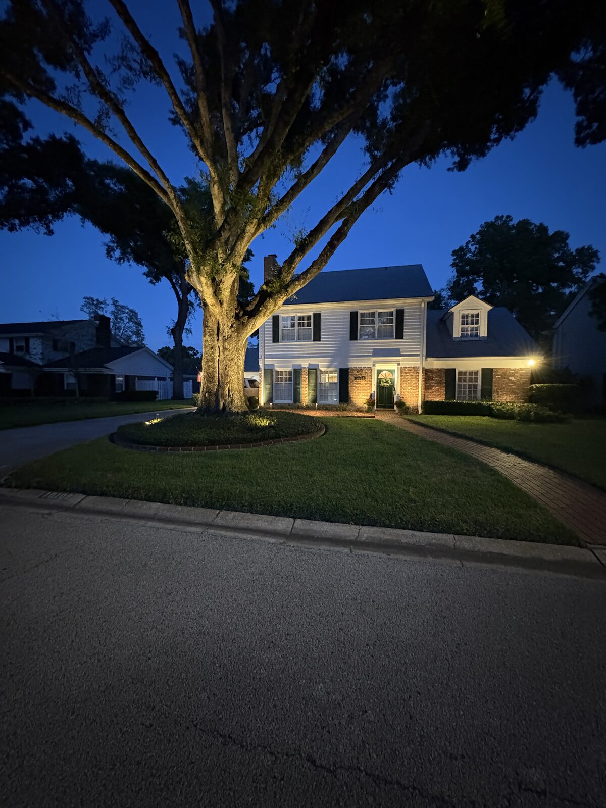 Mature oak tree uplit with warm landscape lighting